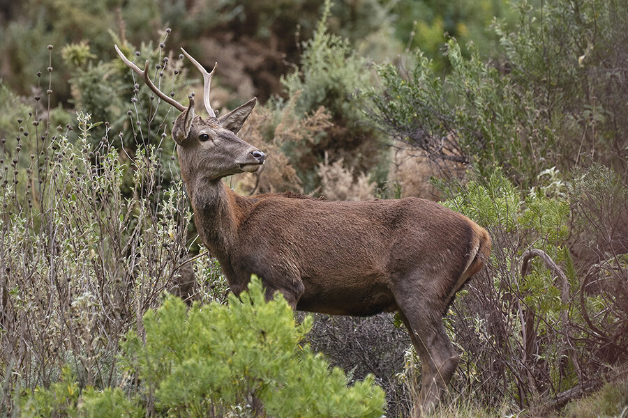 best-autumn-hikes-near-marbella