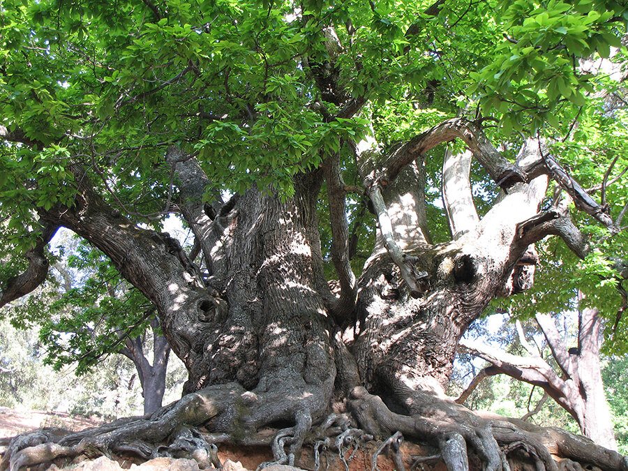 best-autumn-hikes-near-marbella