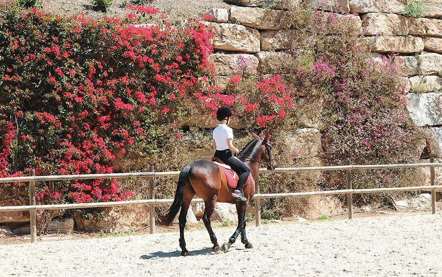 El Centro Ecuestre Marbella Club
