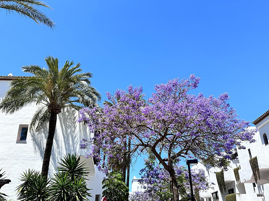 marbella abril