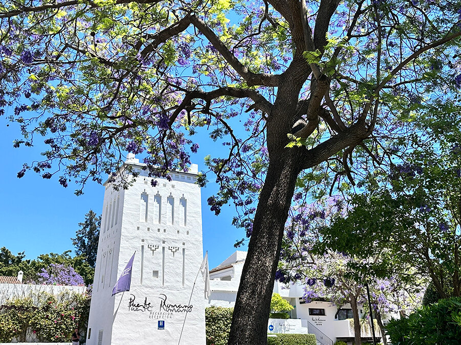 Marbella in May