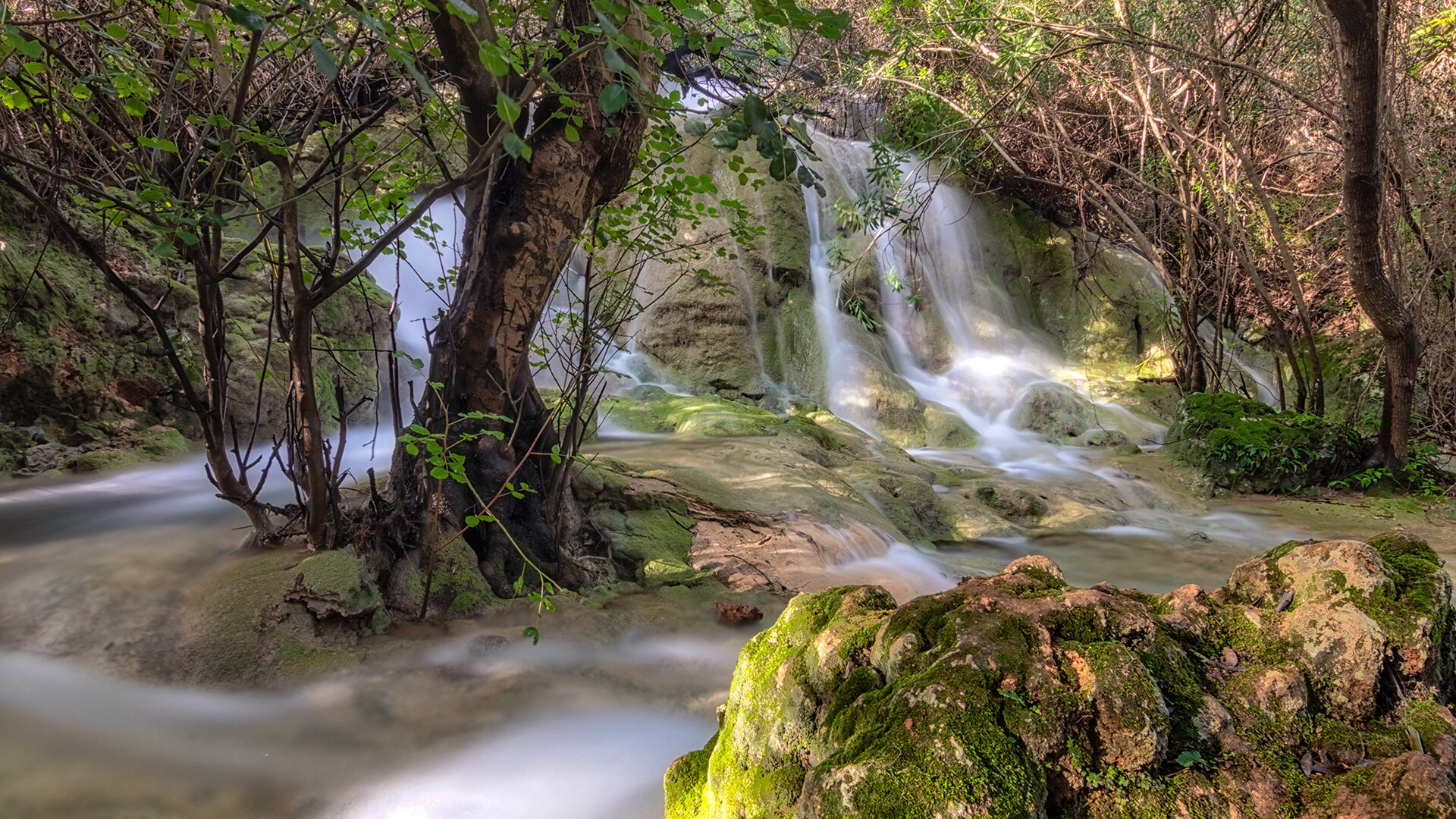 freshwater hikes