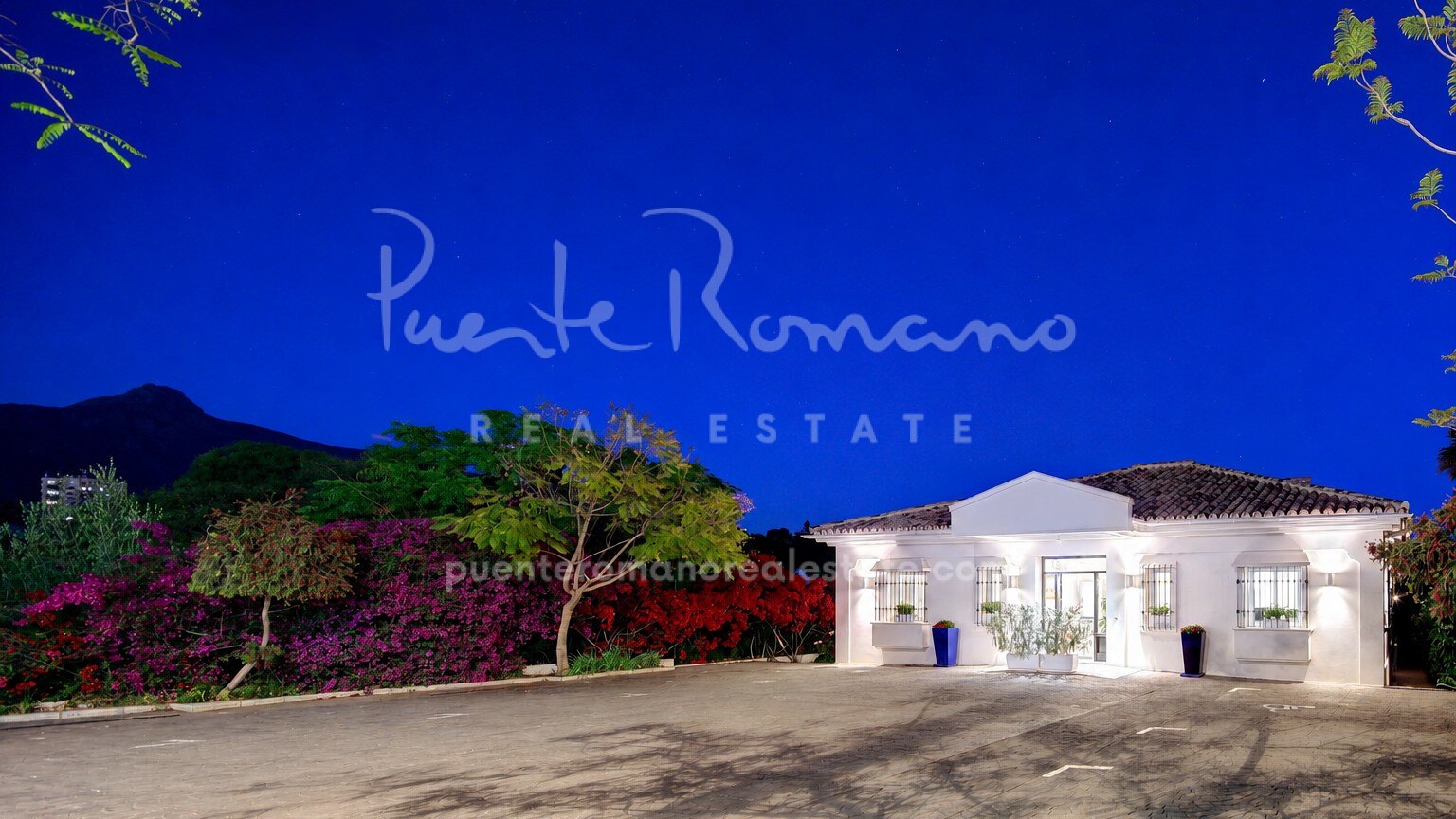 Exclusive independent building with private parking ideal for professional offices, real estate, etc. in Nueva Andalucía